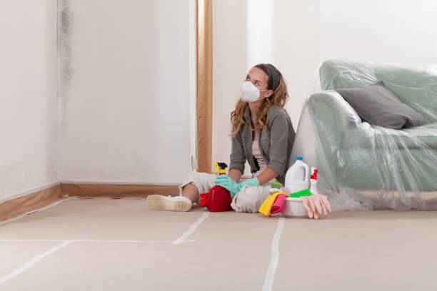 Reliable Black Mold Removal contractor in Queen Creek, AZ by WQB Mold Removal